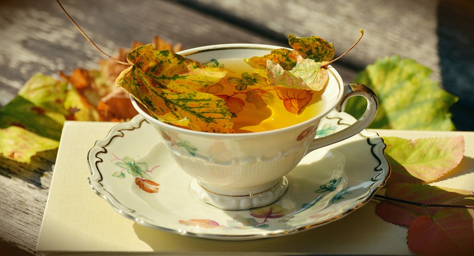 The Tea House
