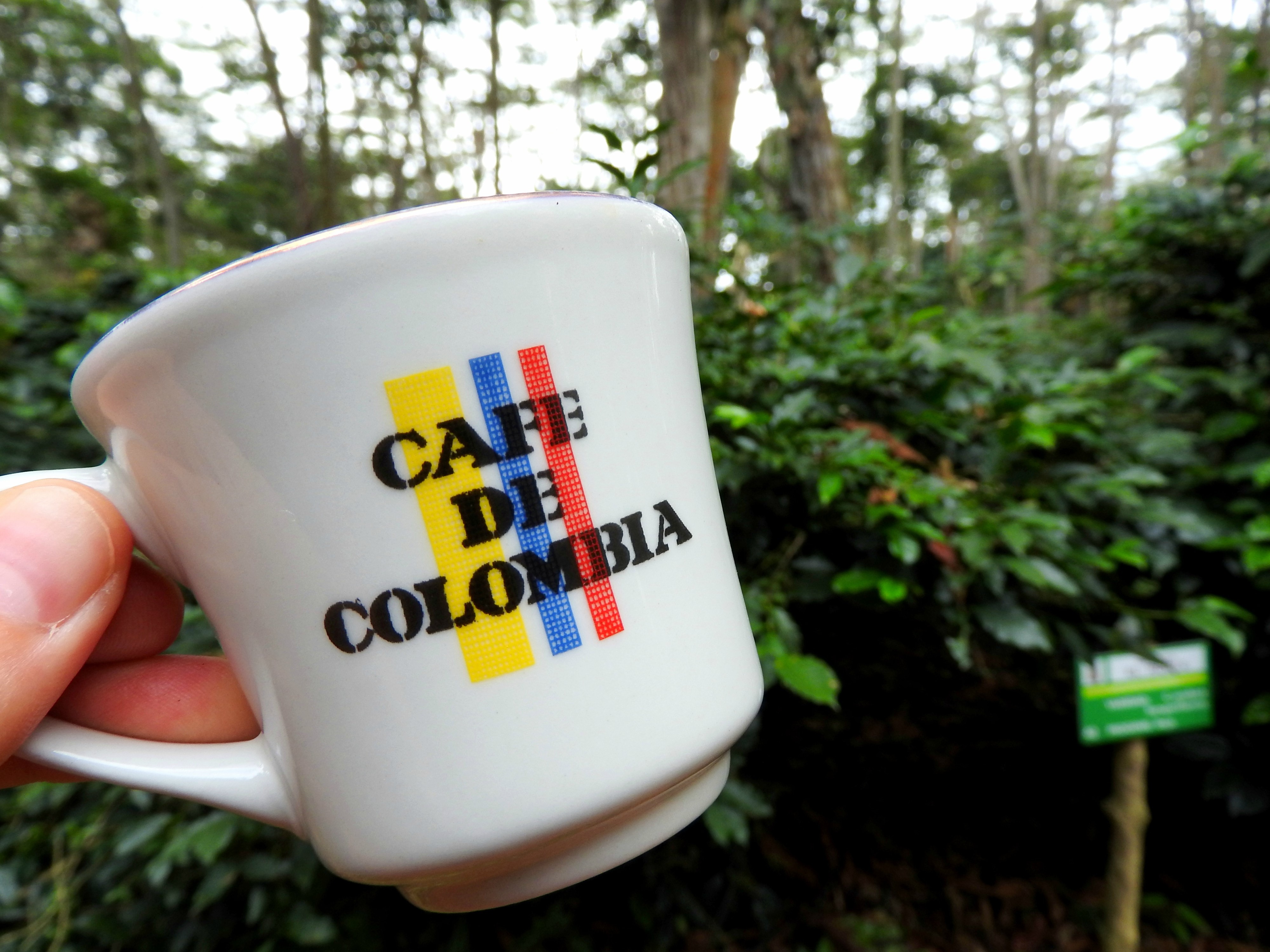 Colombian Coffee vs American Coffee
