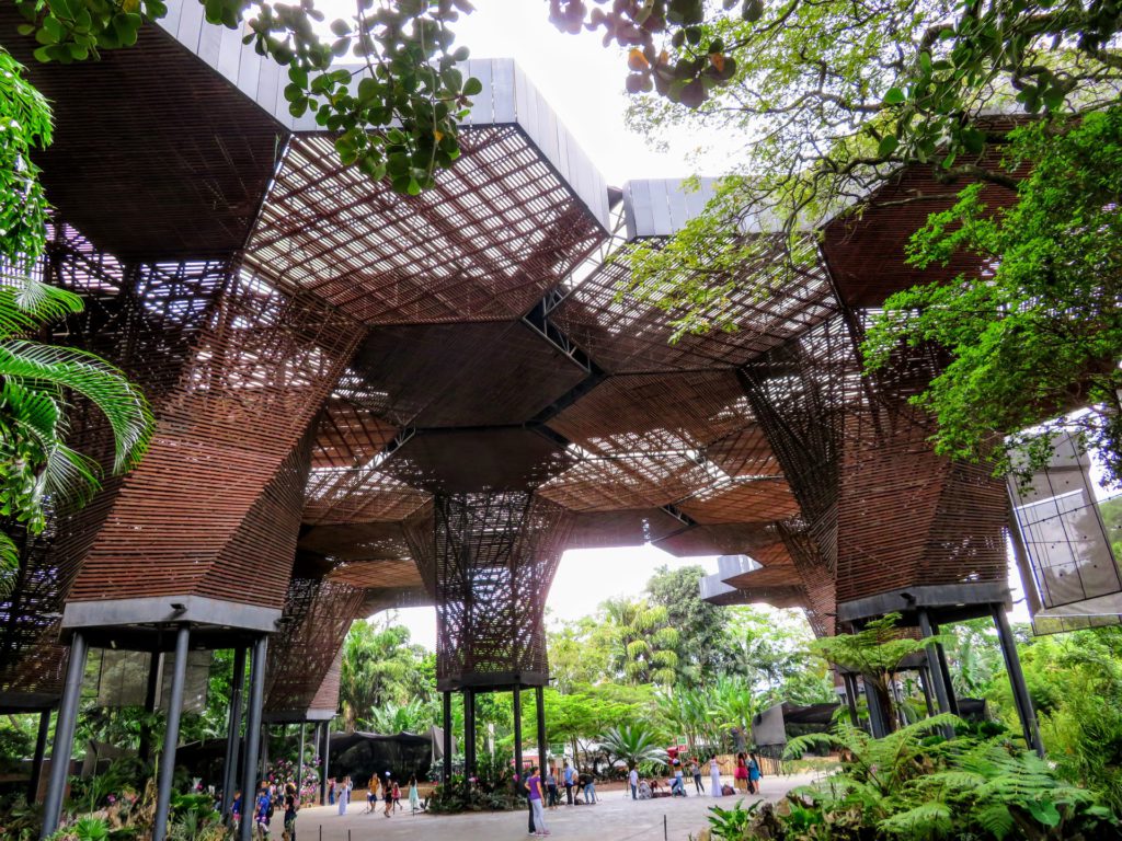 Jardin Botanico (Botanical Garden)
