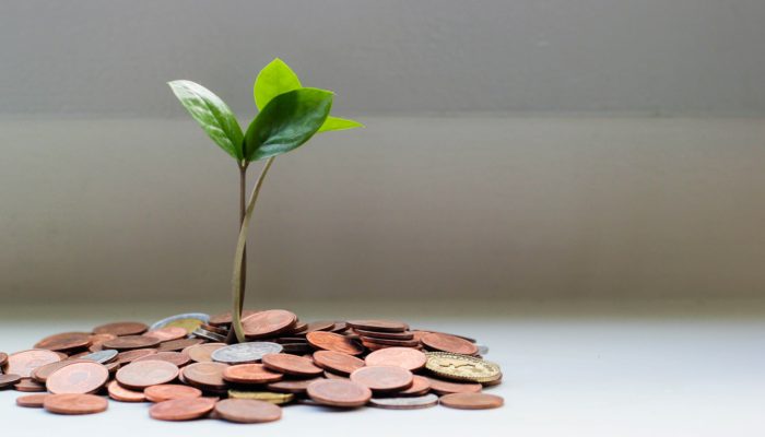 An In-Depth Guide to the Colombia Investor Visa