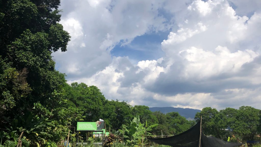 Parque Arvi
