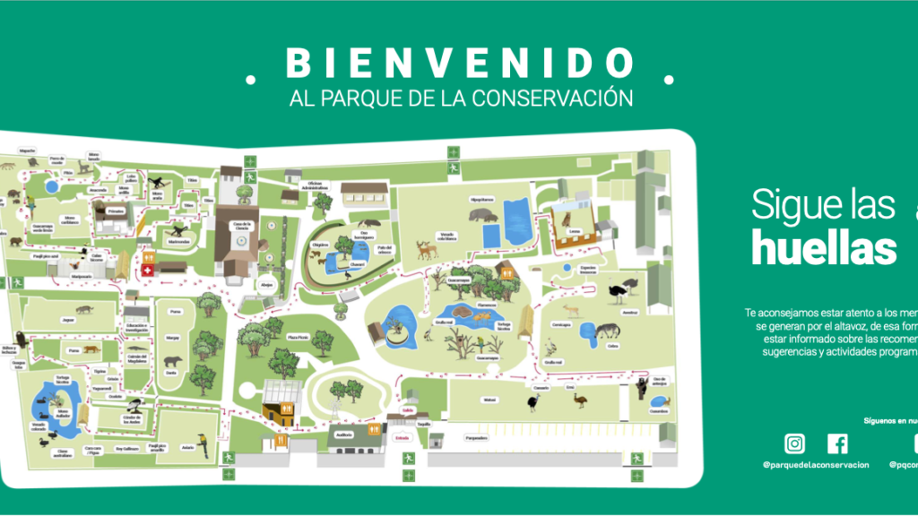 Making Sense of All The Attractions
