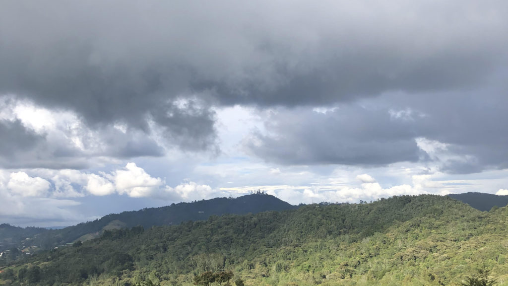 Fertile Land of Colombia Assisting in The Birth of a Tradition
