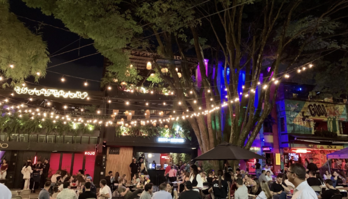 things to do in provenza
