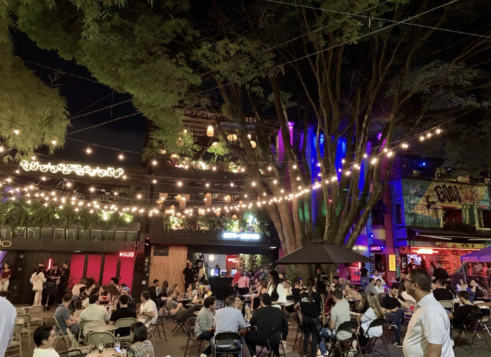 things to do in provenza