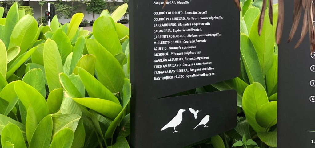 Urban Wildlife