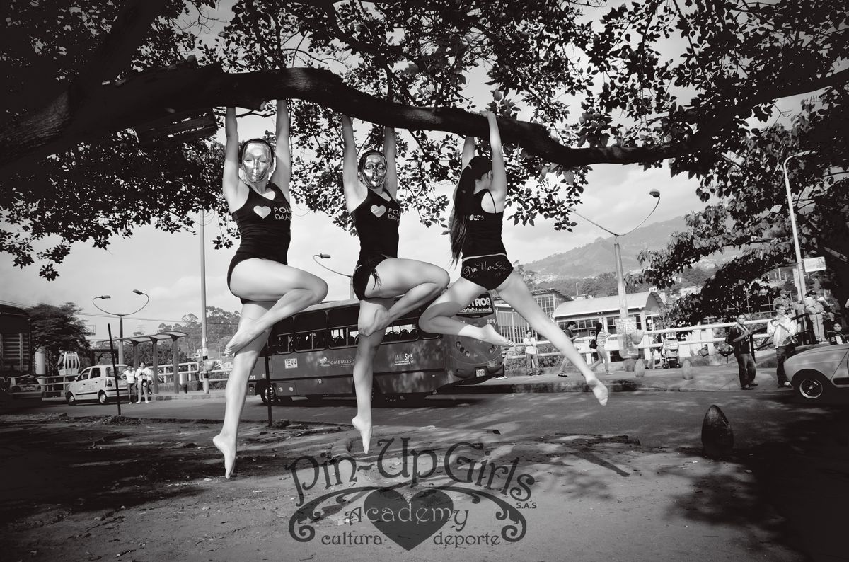 Academia Pin Up
