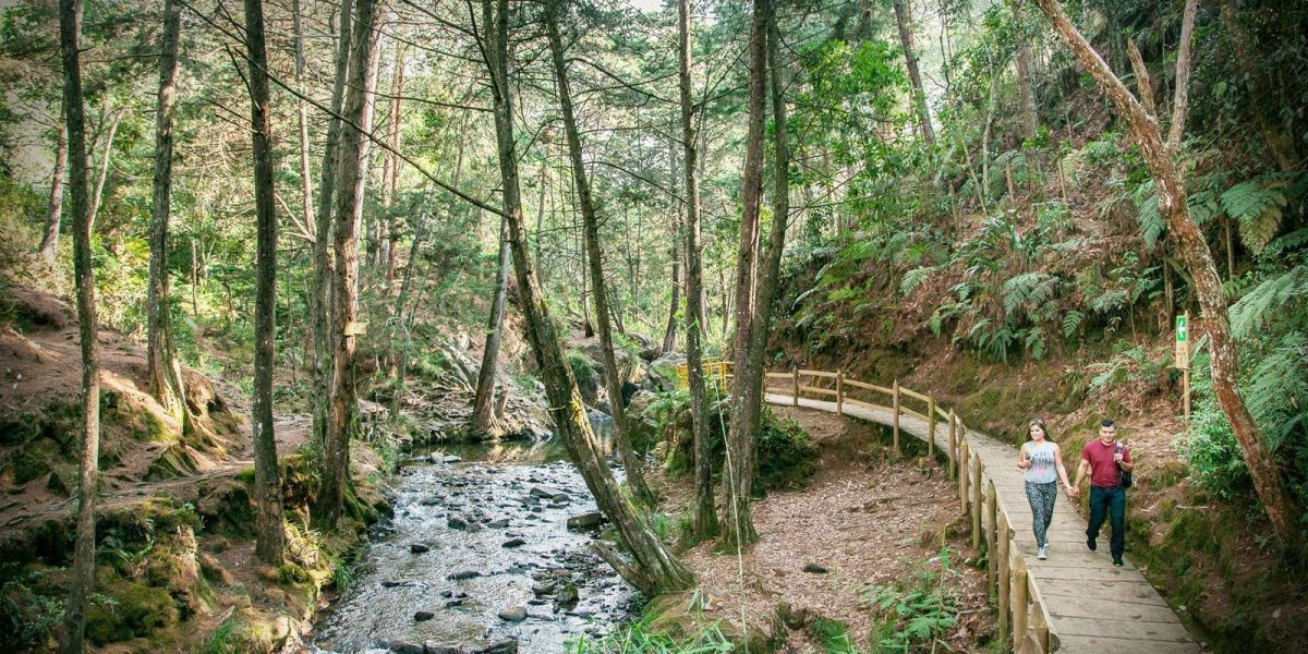 Parque Arví