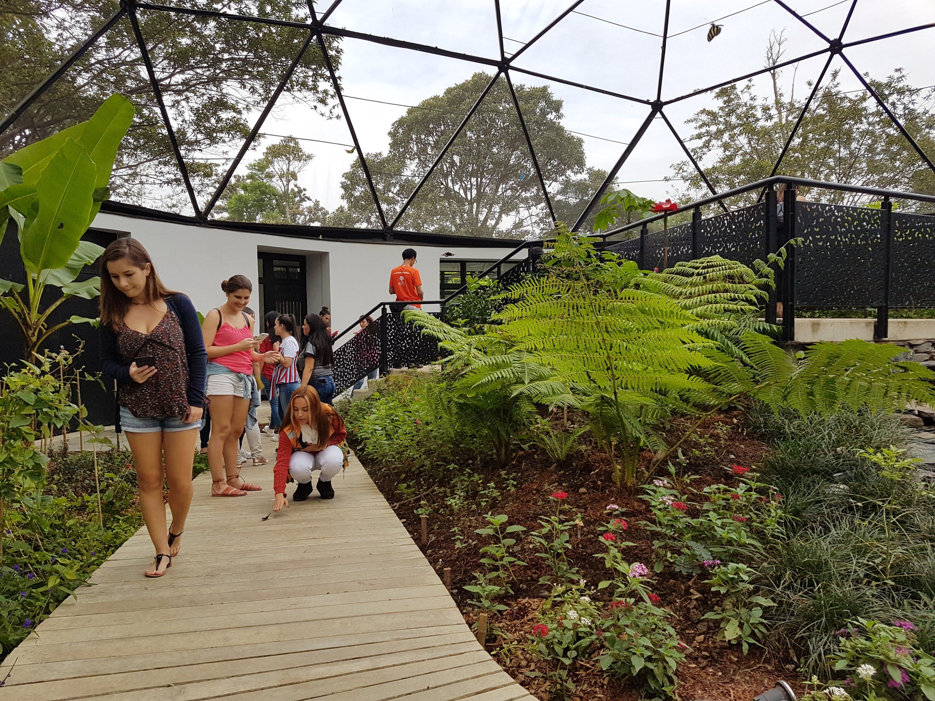 butterfly house at medellin botanical gardens