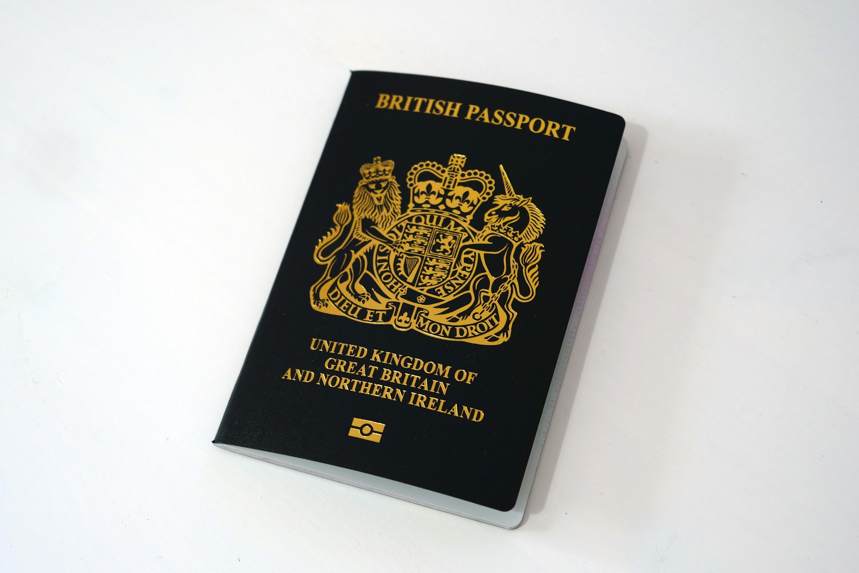 What Are the Types of Student Visas?
