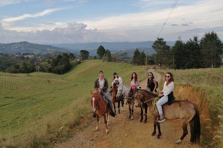 Small Group Tours 
