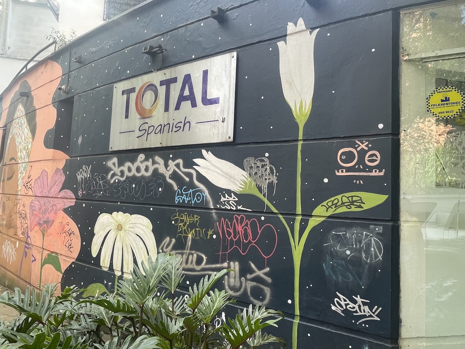 Total Spanish School
