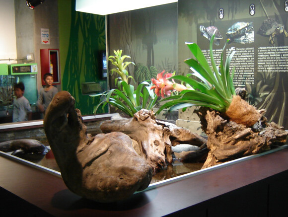 The Vivarium
