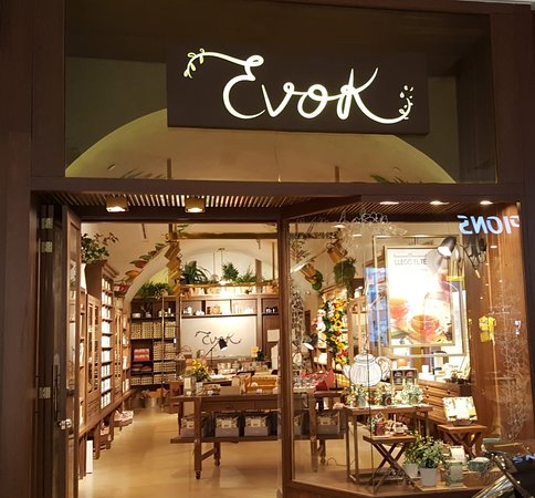 Evok