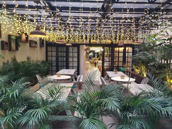 The Food and Drink at Matilde
