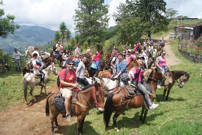 The Best Horseback Riding Tours in the City
