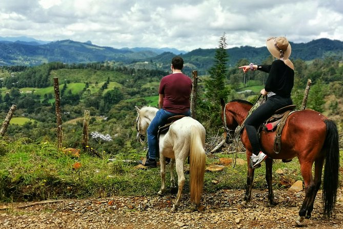 Private Tours 
