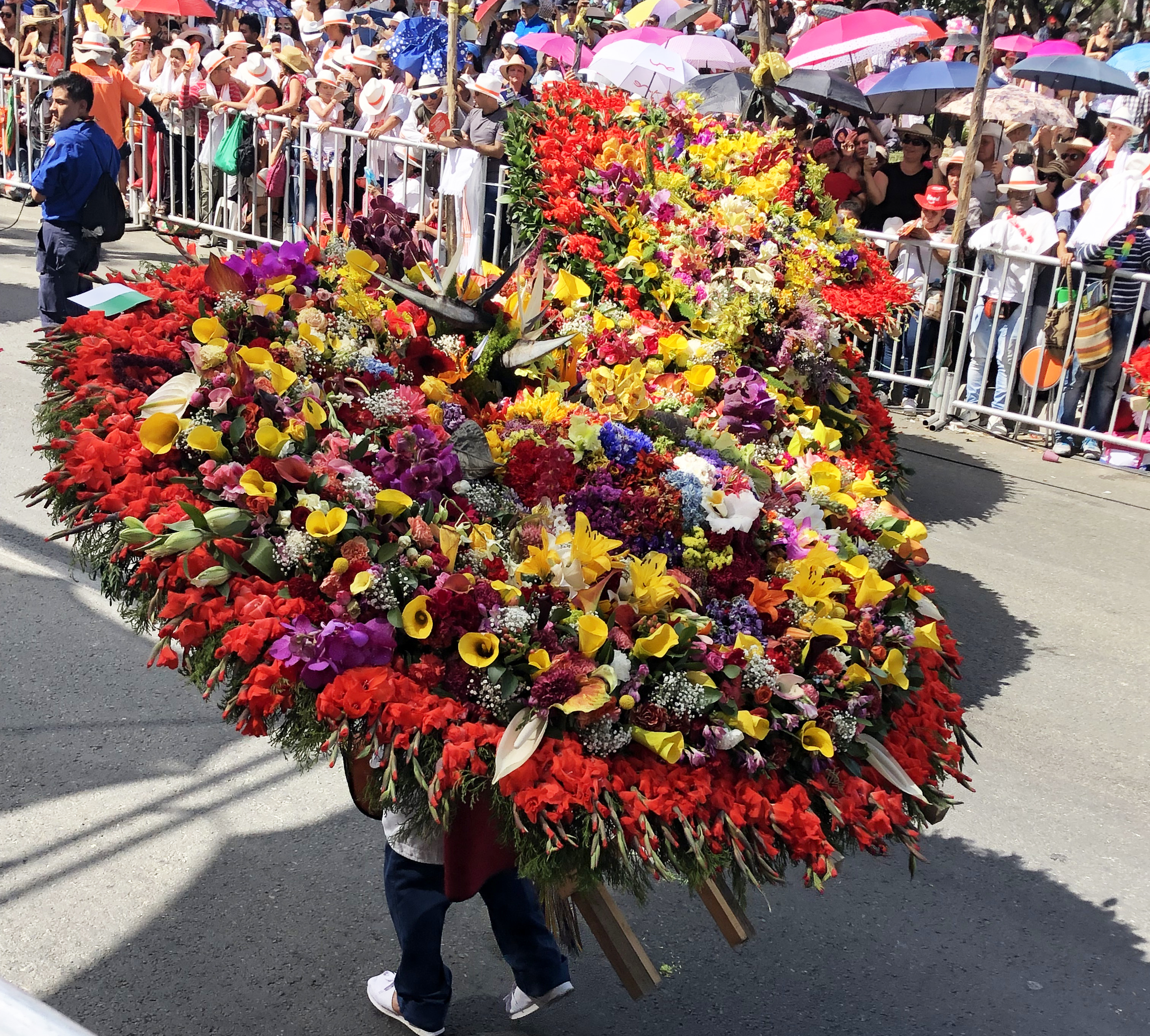 Feria de Flores Kick-Off Event