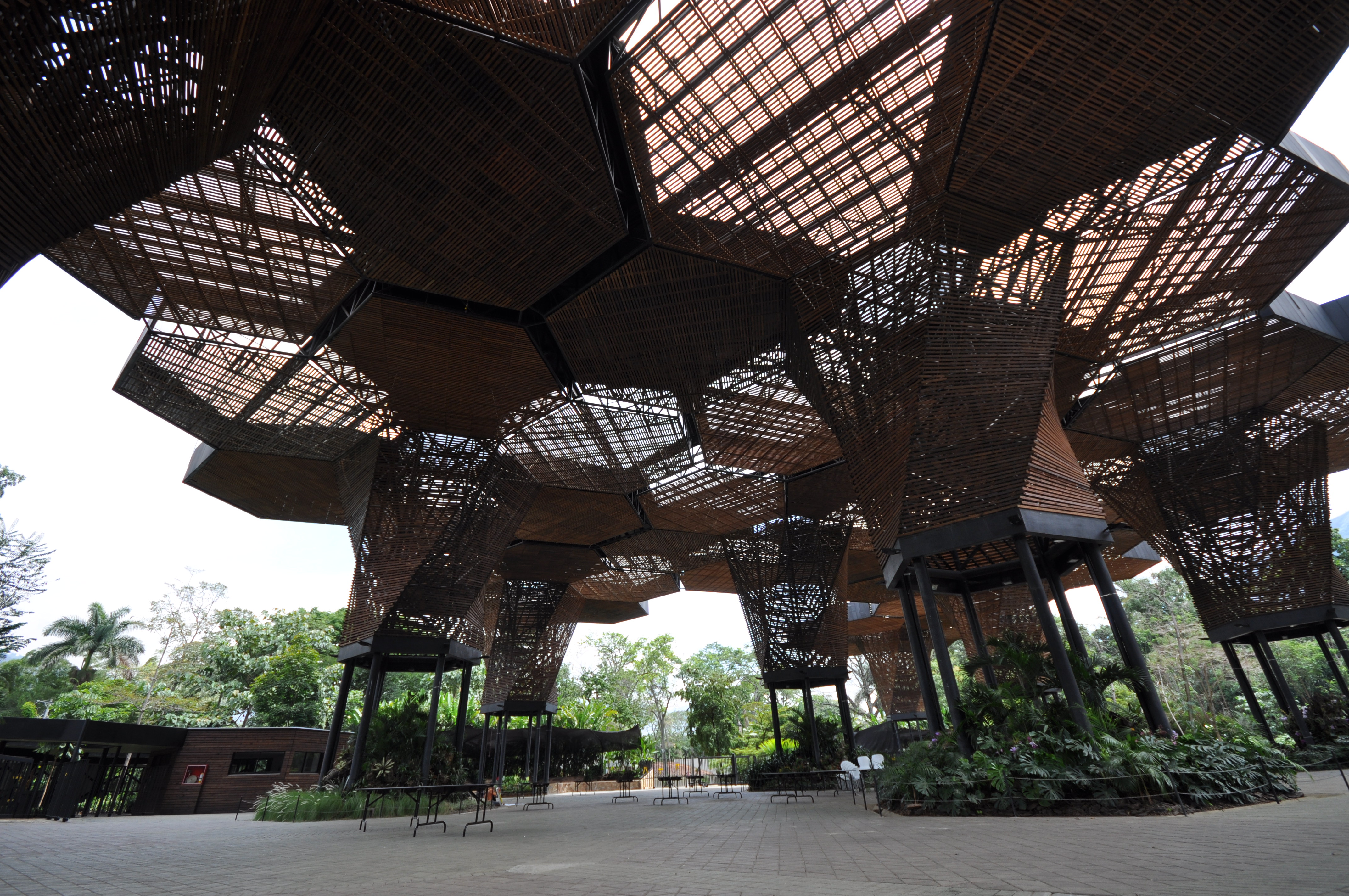 Orquideorama (Jardin Botanico)
