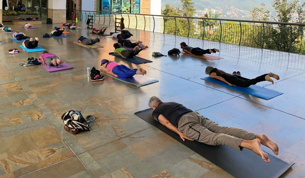 Integral Yoga 
