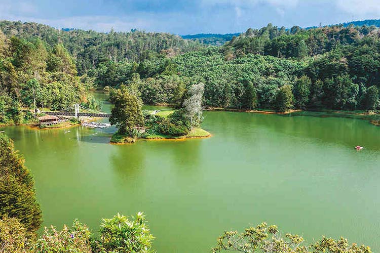 arvi park lake view