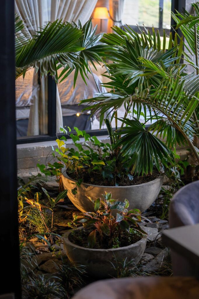 WhatsApp Image 2021-09-13 at 7.32.51 PM