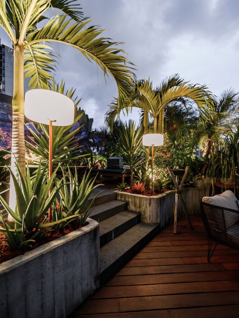 WhatsApp Image 2022-09-07 at 8.38.57 AM