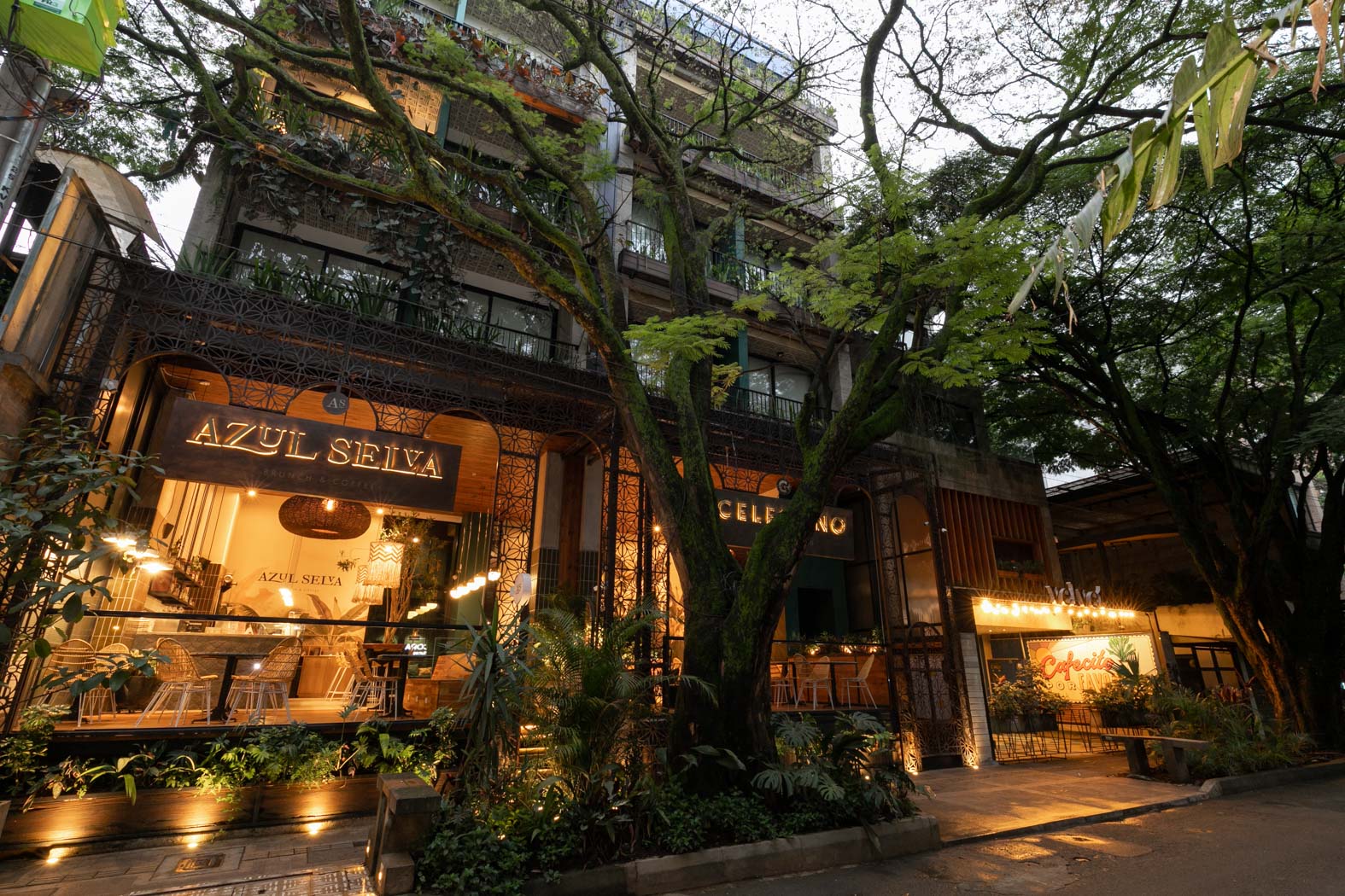 Exclusive Investment: Celestino Boutique Hotel & Spa. Your Gateway to Provenza’s Charm