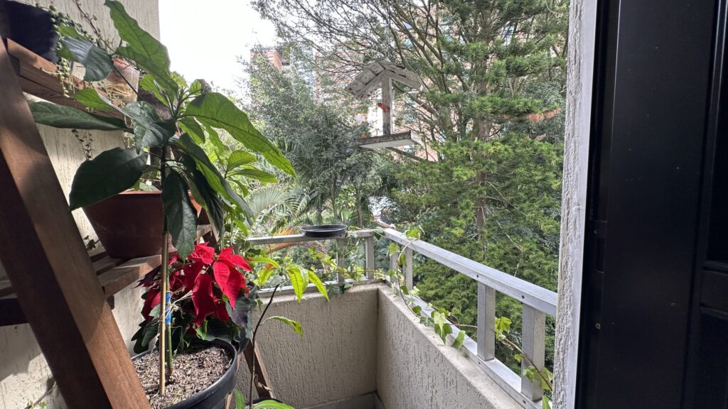 san_lucas_plaza (23)