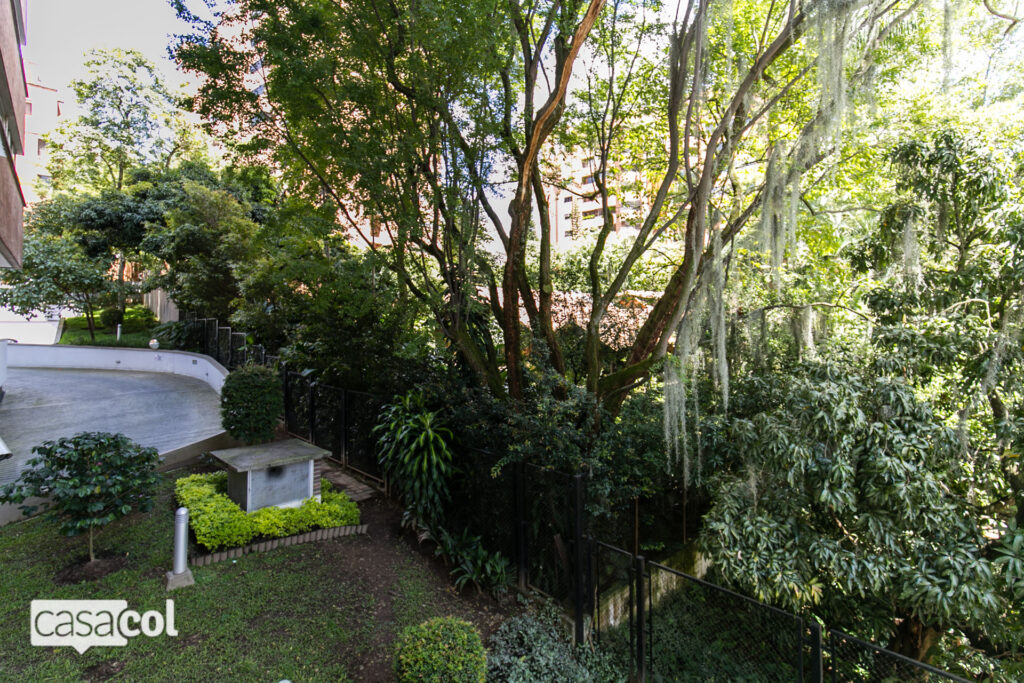 nueva-alejandria-103-19